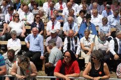 20140601-mgw-luzkmtwauwil-14-09-09-299-christianhodel-scaled