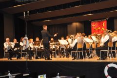 20191110-mgw-jahreskonzert-26-scaled
